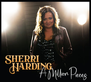 Read more about the article Sherri Harding – A Million Pieces