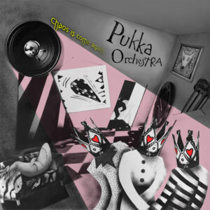 Read more about the article The Pukka Orchestra – Chaos Is Come Again (Coming Soon)